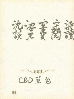 沈池宴宋柒年小说免费阅读