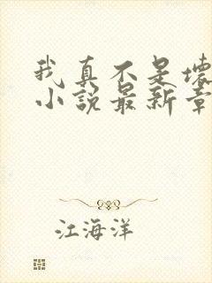 我真不是坏男人小说最新章节