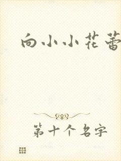 向小小花蕾深处