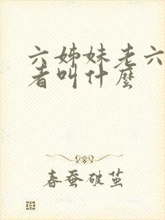 六姊妹老六扮演者叫什么