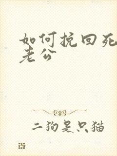 如何挽回死心的老公