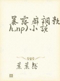 暴露癖调教(高h,np)小说