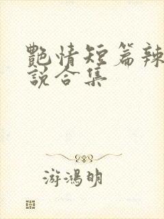 艳情短篇辣文小说合集