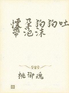 怀孕狗狗吐黄水带泡沫