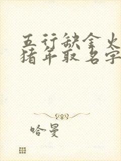 五行缺金火女孩猪年取名字