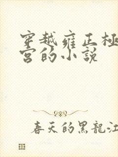 穿越雍正极品后宫的小说