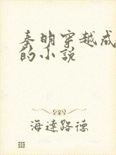 秦明穿越成太子的小说