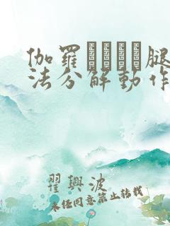 伽罗あちゃん腿法分解动作