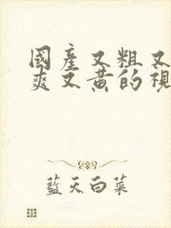 国产又粗又猛又爽又黄的视