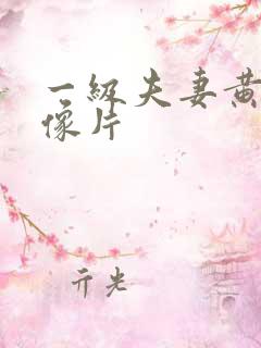 一级夫妻黄色录像片