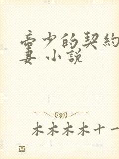 帝少的契约小娇妻 小说