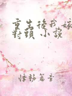 重生后我嫁了死对头 小说