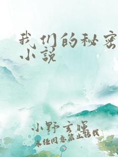 我们的秘密泰剧小说