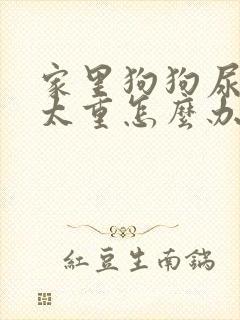 家里狗狗尿骚味太重怎么办