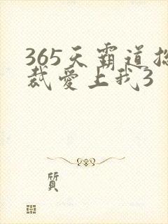 365天霸道总裁爱上我3