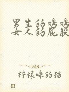 男生的鸡鸡插进女人的屁股里