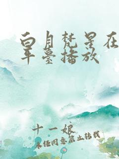 白月梵星在哪个平台播放