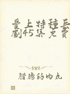 爱上特种兵电视剧45集免费观看