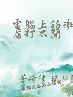 电脑上的微软商店打不开