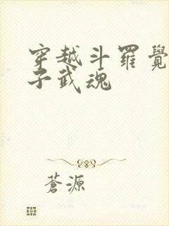 穿越斗罗觉醒镜子武魂