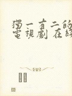 独一有二的她 电视剧 在线观看