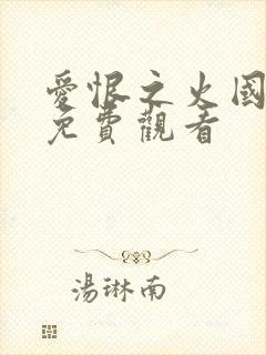 爱恨之火国语版免费观看