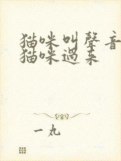 猫咪叫声音吸引猫咪过来