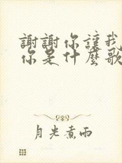 谢谢你让我遇见你是什么歌名的歌词