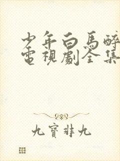 少年白马醉春风电视剧全集免费看