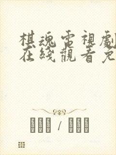 棋魂电视剧全集在线观看免费播放