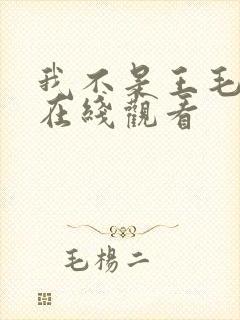 我不是王毛电影在线观看