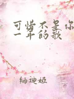 可惜不是你是哪一年的歌