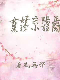 女婿宋阳岳母陈丽珍小说阅读