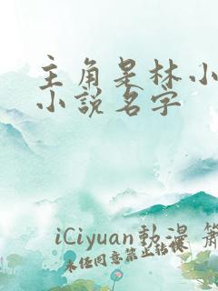 主角是林小天的小说名字