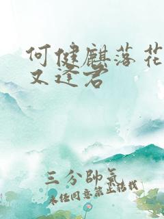 何健麒落花时节又逢君