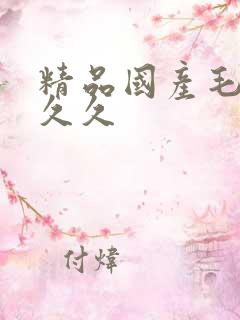 精品国产毛片久久久