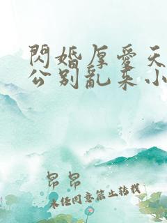 闪婚厚爱天价老公别乱来小说