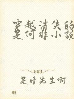 穿越消失的她我是何非小说