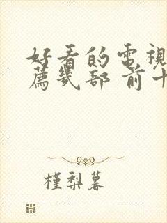 好看的电视剧推荐几部 前十名2024