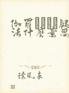 伽罗ちゃんが腿法什么意思