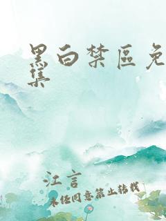 黑白禁区免费全集