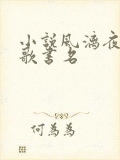 小说风漓夜楚倾歌书名