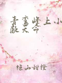 青鸾峰上小说无敌天命