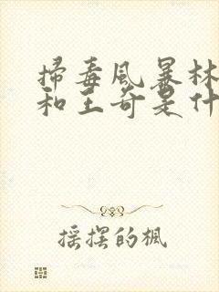 扫毒风暴林强峰和王奇是什么关系