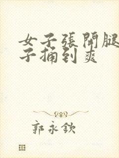 女子张开腿让男子捅到爽