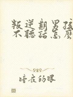 叛逆期男孩孩子不听话怎么教育