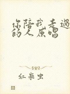 你陪我走过风雨的人原唱