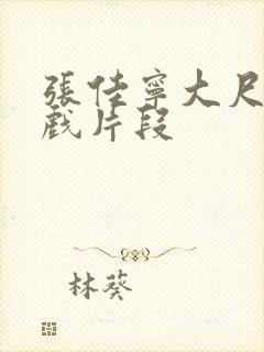 张佳宁大尺度床戏片段