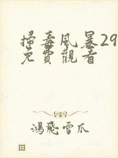 扫毒风暴29集免费观看