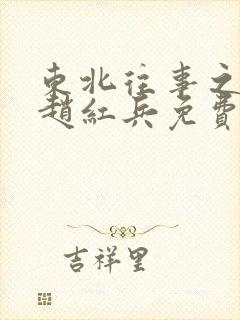 东北往事之我叫赵红兵免费观看